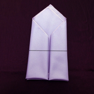 Envelope Napkin Fold Step 5